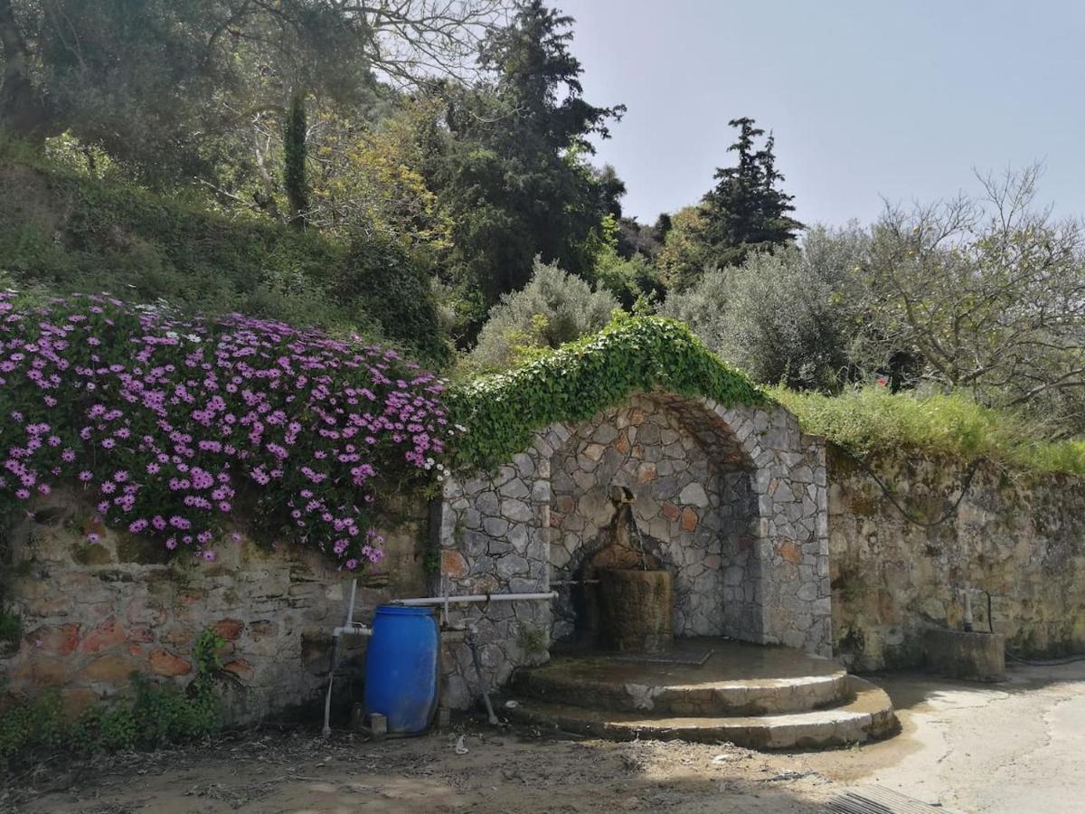 קיסאמוס Batilas Garden House מראה חיצוני תמונה